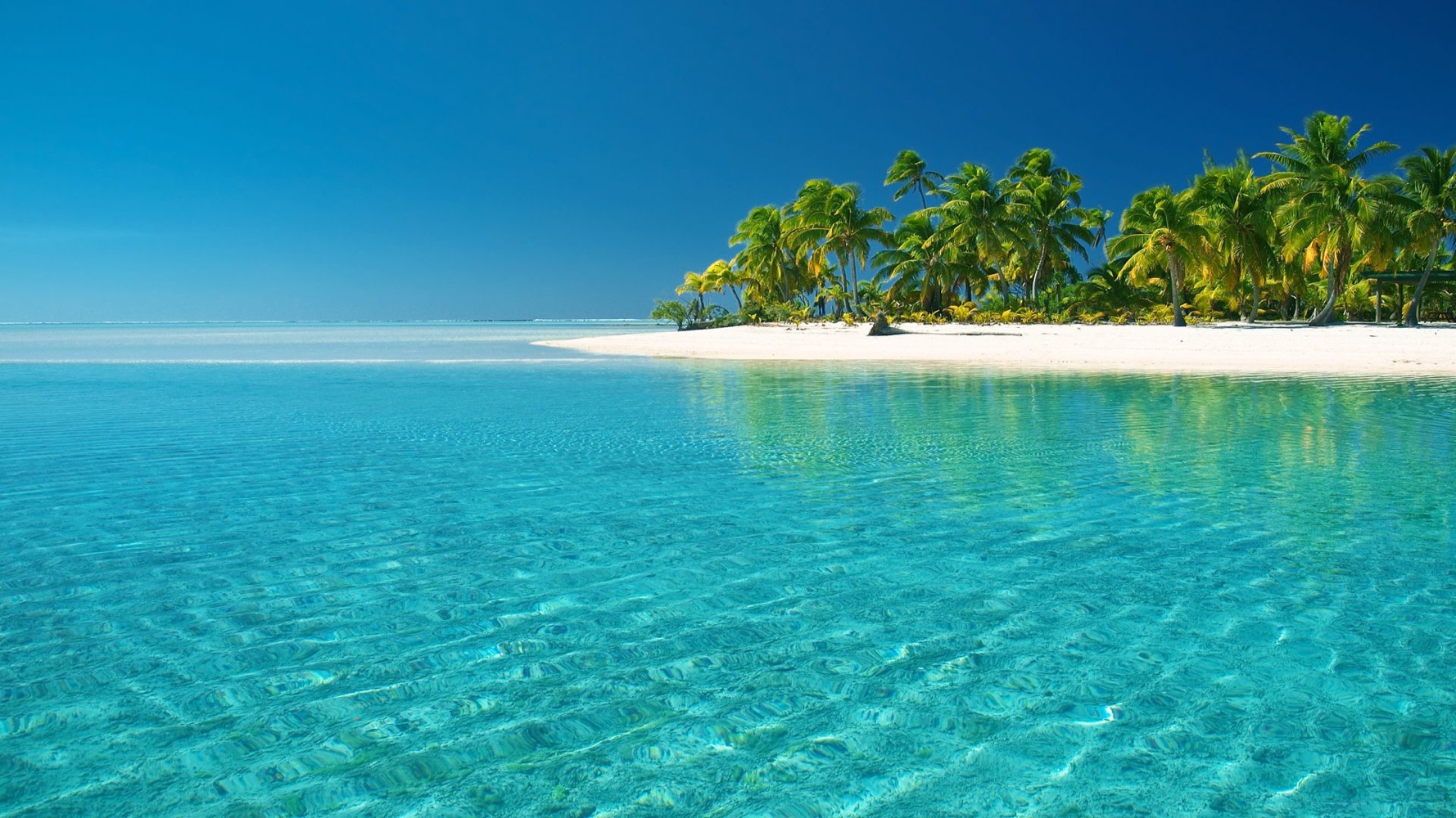 blue sea in front of an island with a palmtree